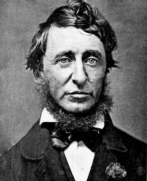 If Thoreau Were Alive He’d Be Shouting From The Rafters