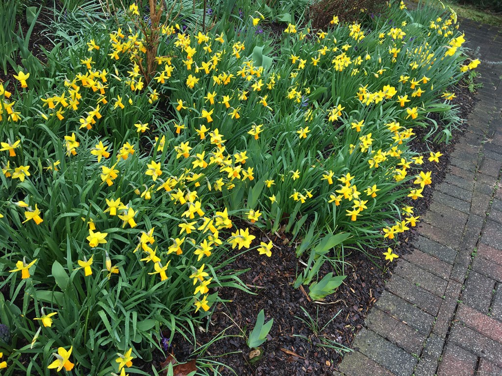 You are braver than you believe & stronger than you seem…