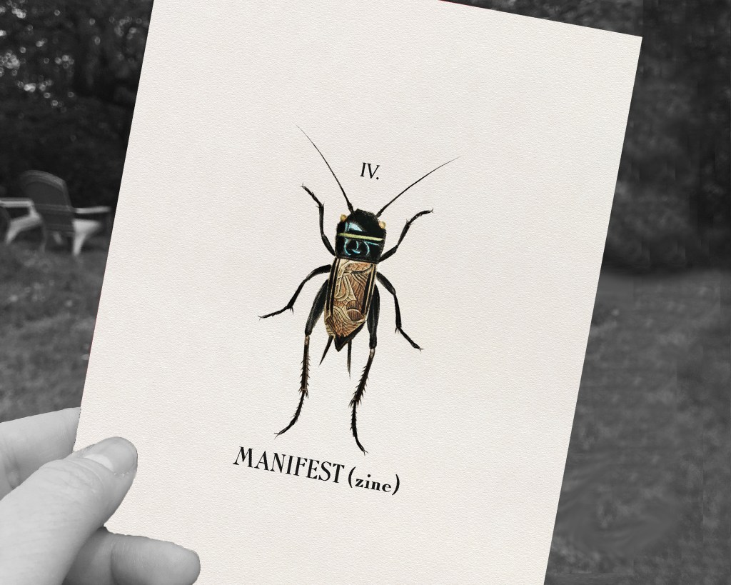 WHAT’S THAT? Manifest (zine): Crickets